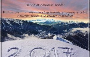 Bonne année 2017