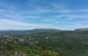 5922faf217e69_20170521142255.jpg