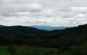 59985cbf1d15c_20170813145004.jpg