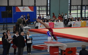 5d5570e431251_crop5c950937b440aDSC0050.jpg