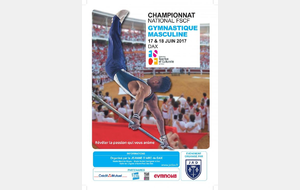 Championnat national par équipe