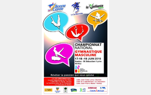 Championnat national par équipe