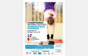 Championnat national par équipe 