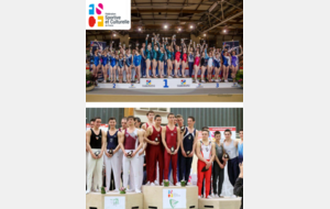 Championnat national par équipes de gymnastique féminine (F-F1) et masculine
