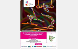 Championnat national par équipes de gymnastique masculine