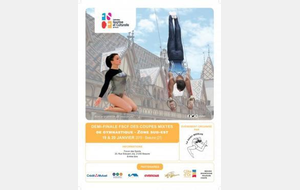 Demi-finales des coupes nationales mixtes