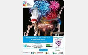 Finale des coupes nationales mixtes de gymnastique