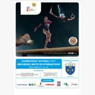 Gymnastique mixe : CHAMPIONNATS FEDERAUX INDIVIDUELS