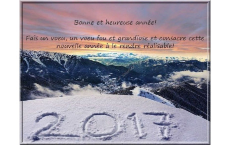 Bonne année 2017