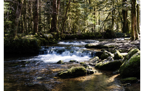 #Rando - La cascade du hérisson