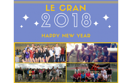 Bonne année 2018