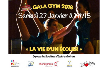 #RETOUR SUR LE GALA GYM FÉMININE 2018