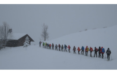 #RANDO WEEK-END RAQUETTES GRAND BORNAND
