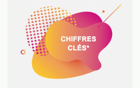 #FSCF - Les chiffres clés