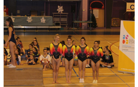 Demi-finales des Coupes Nationales d’Hiver Gymnastique féminine